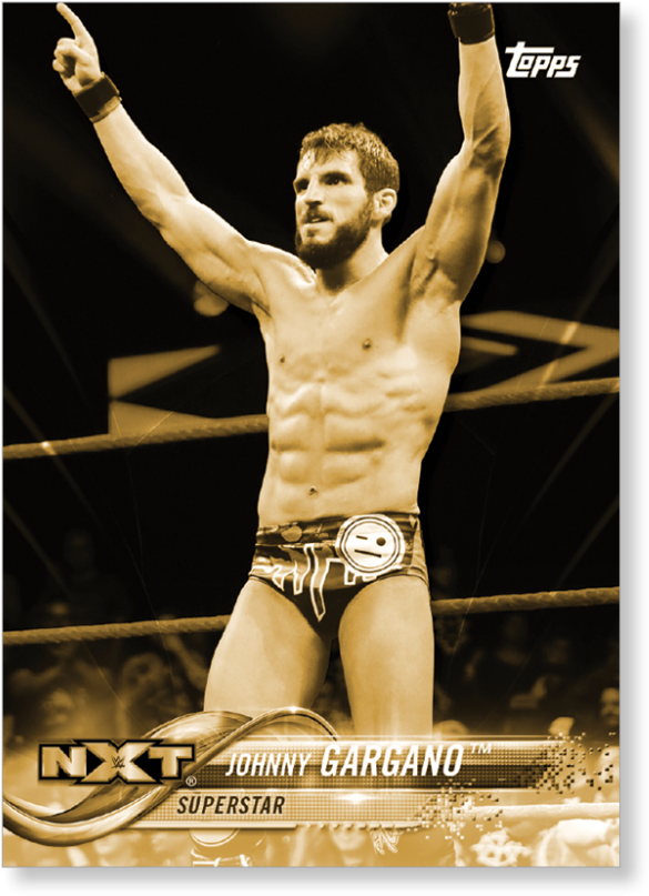 2018 Topps Wwe Johnny Gargano - Wrestler (1440x975), Png Download