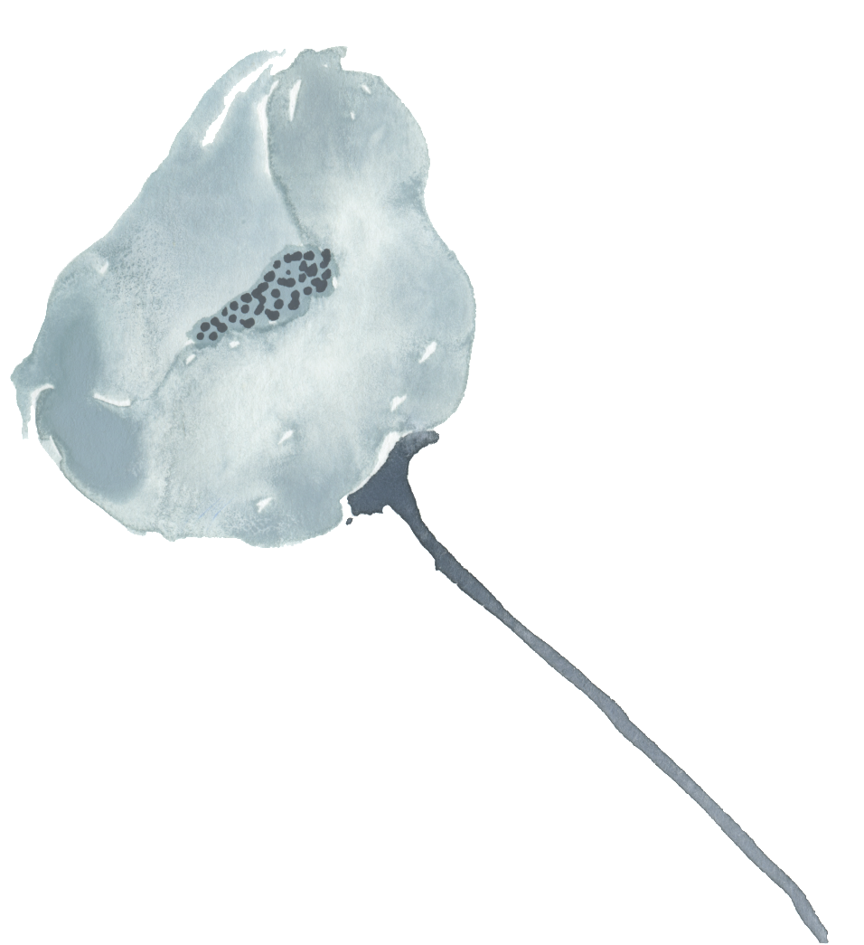 Ice Heart Petals Transparent Decorative - Watercolor Painting (1024x1087), Png Download
