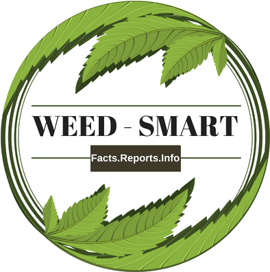 All Things Weed - Slogan Le Cannabis (500x500), Png Download