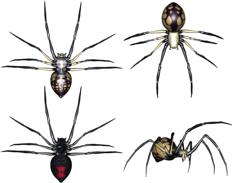 Set Of Spiders Clipart - Portable Network Graphics (500x404), Png Download