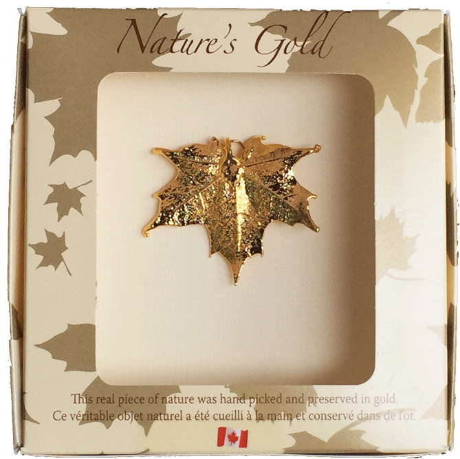 Maple Leaf Pendant - Bronze Canadian Maple Leaf Brooches (800x800), Png Download
