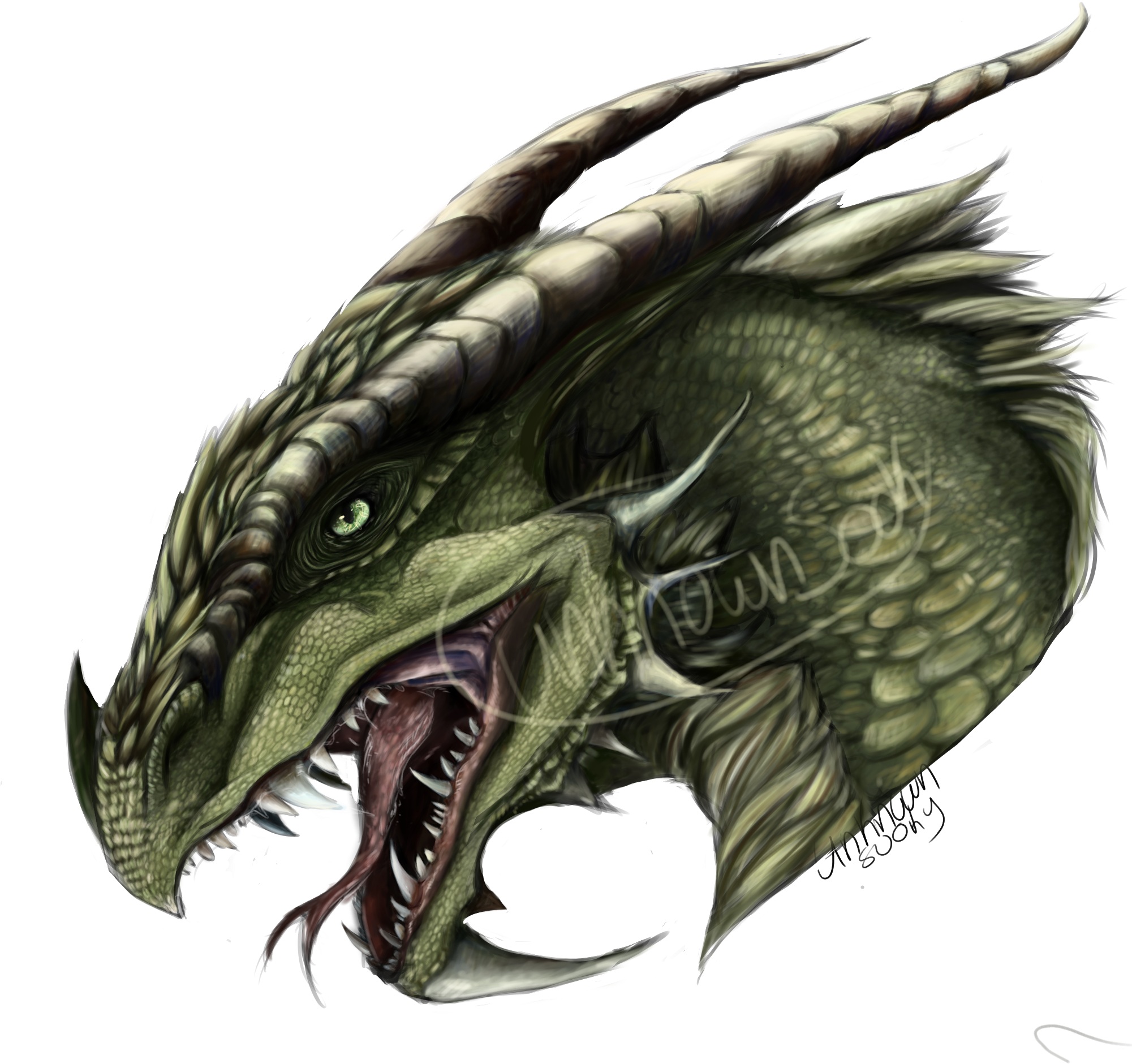 Kwbzeop Yxnap6p - Dragon (2000x2000), Png Download