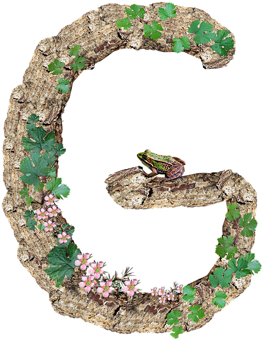 Alphabet, Letter, G, Rustic, Timber, Bark - Alphabet (645x720), Png Download
