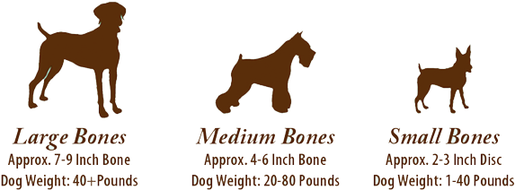 Don't Forget To Keep These Doggy Divine Delicatessens - Bull Terrier Vector (633x232), Png Download