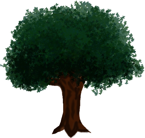 Sunday, April 18, 2004 - Oak (640x480), Png Download