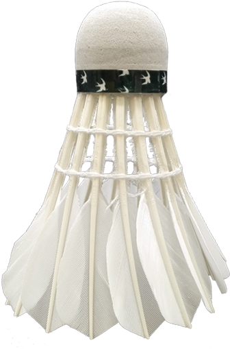 Environmentally Friendly Glue - Badminton (344x524), Png Download