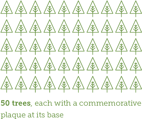 50 Trees - Stock Illustration (508x423), Png Download
