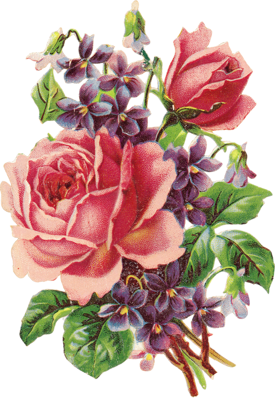 This Would Be A Beautiful Tattoo Of The Flowers Of - Tatuajes De Flores Vintage Png (552x800), Png Download