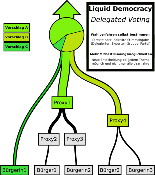 Pirate Party Wiki - Liquid Feedback (533x599), Png Download