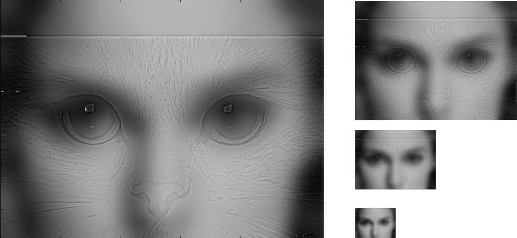Hybrid Image Of Natalie Portman And Cat - Close-up (1024x471), Png Download