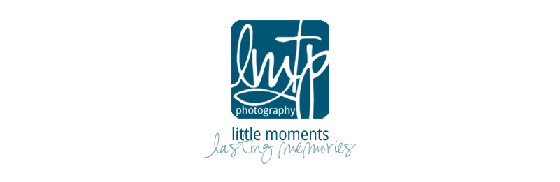 Andrew And Kelly Tied The Knot {saint Louis Wedding - Graphic Design (800x400), Png Download