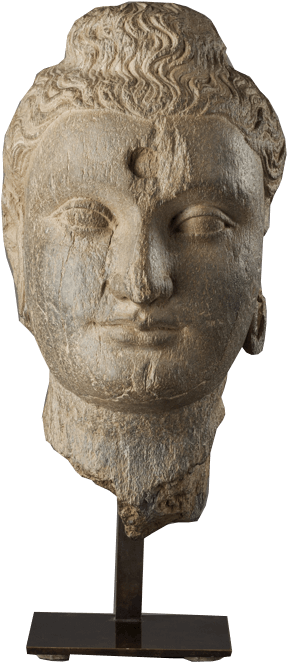 Gandharan Head Of Buddha - Sculpture (750x750), Png Download