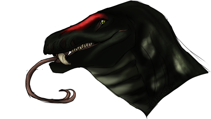 Colton Haynes/jackson Whittemore By Reesesandgaara - Jackson (1024x768), Png Download