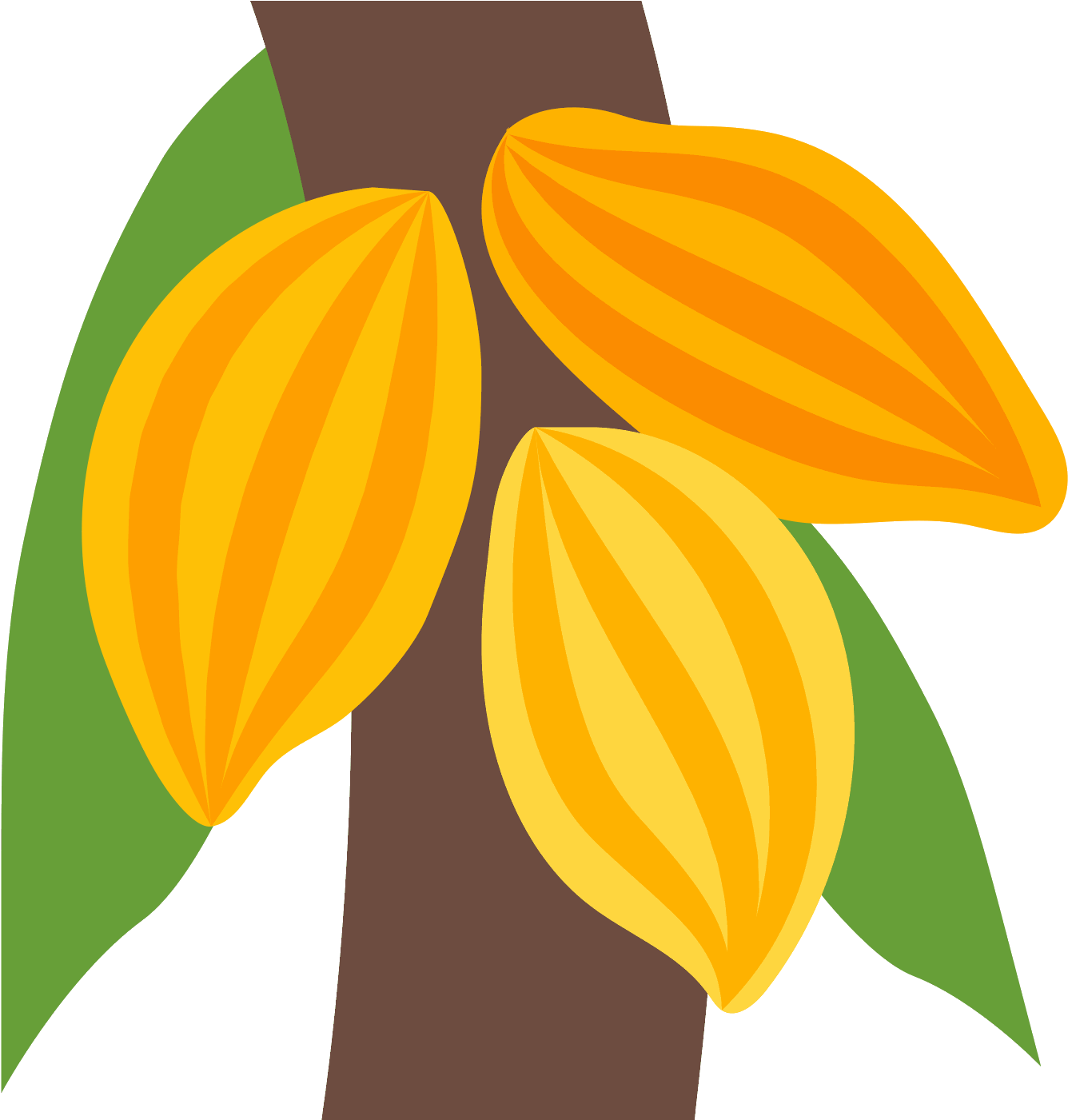 Png 50 Px - Cocoa Icon (1600x1600), Png Download