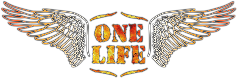 Website (800x282), Png Download