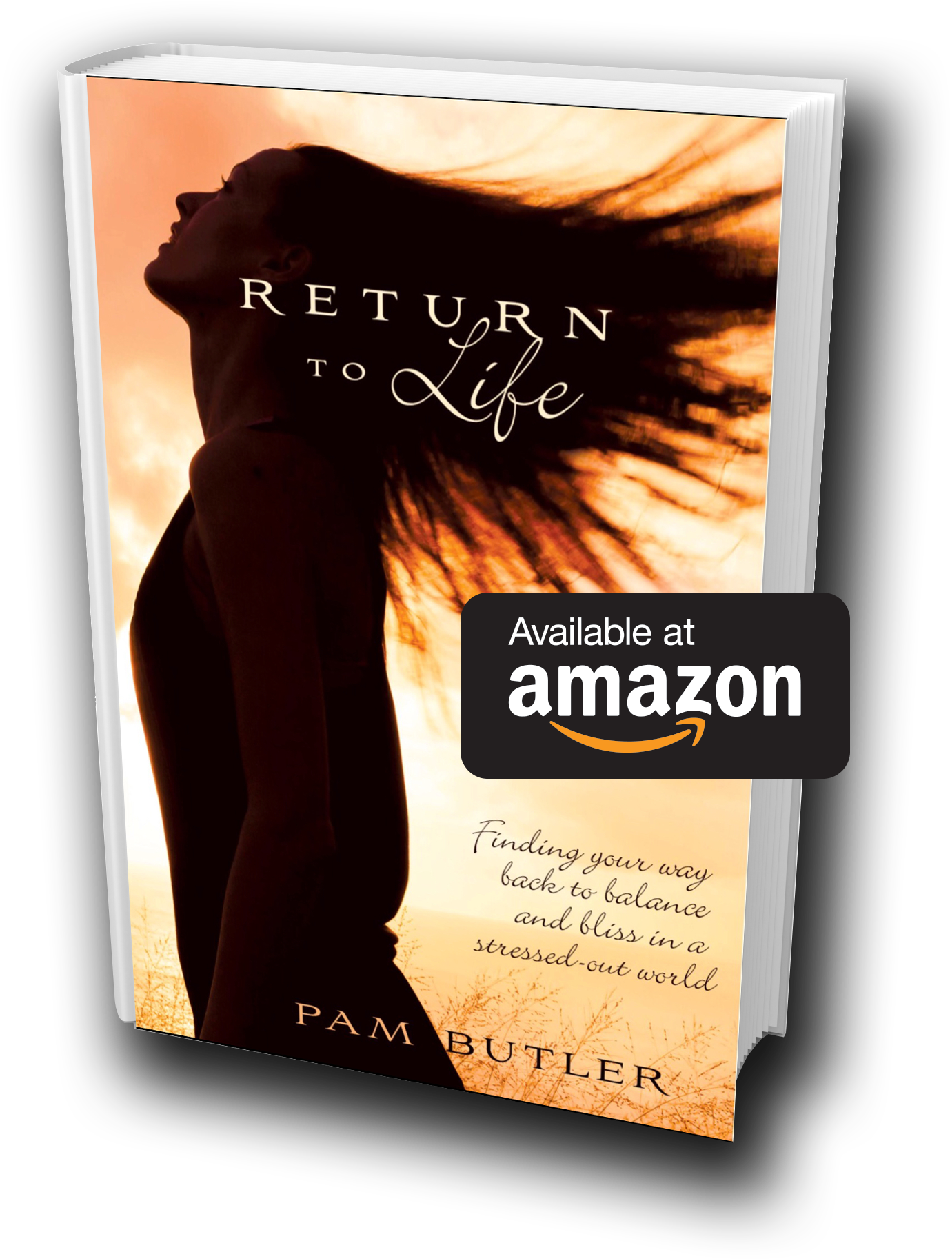 Return To Life Book Now Available - Return To Life: Finding Your Way Back Orld By Pam Butler (1836x2019), Png Download