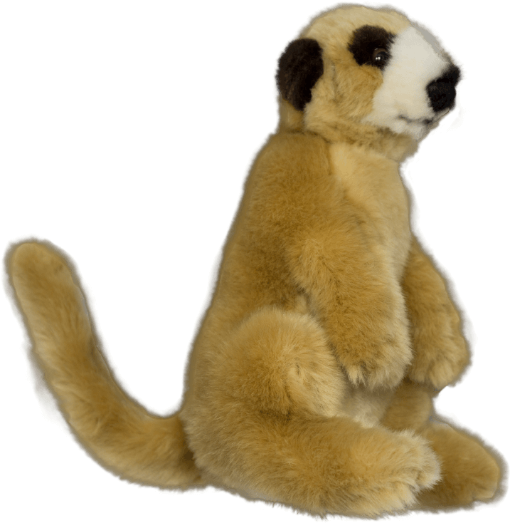 1 - Meerkat (750x900), Png Download