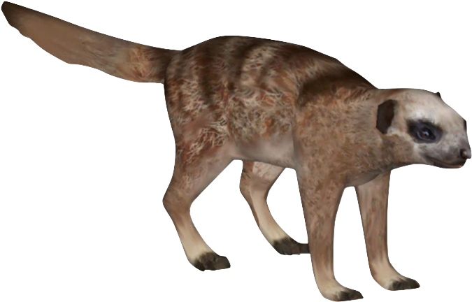 Meerkat - Zt2 Meerkat Aurora Designs (729x790), Png Download