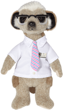 Sergei Toy - Sergei Compare The Meerkat (590x379), Png Download
