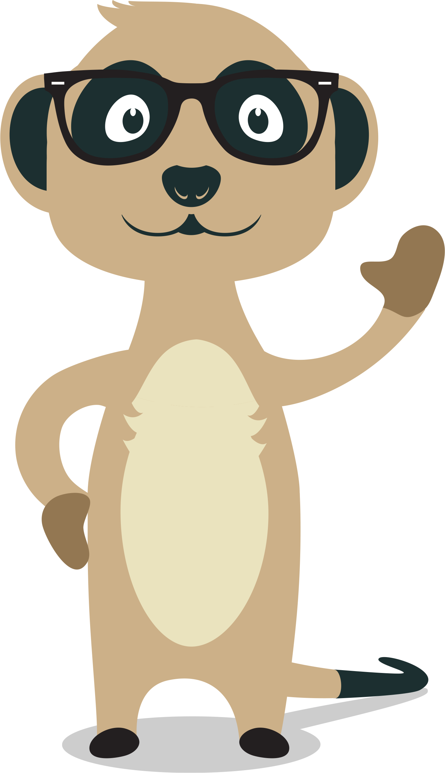 Who Is Meerkat - Freecreditscore.com (1432x2488), Png Download