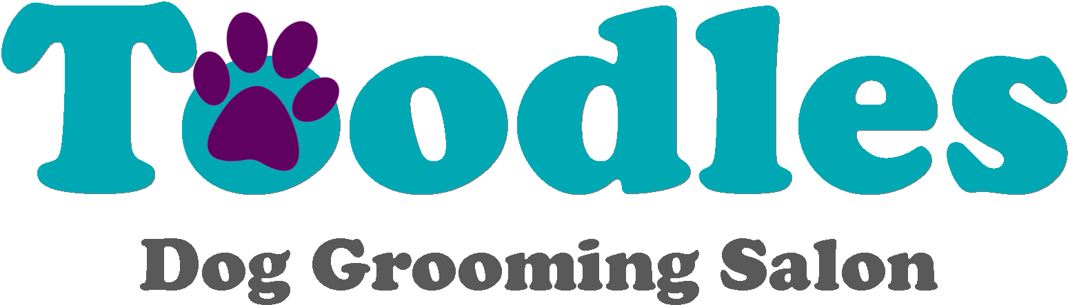 More Than Just A Hair Cut - Jackall Hoodie (1601x609), Png Download