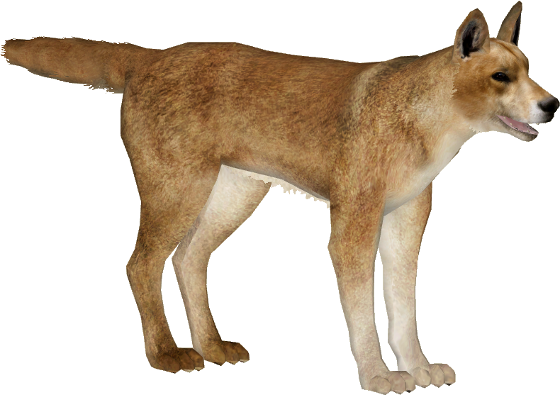 Dingo - Dog Yawns (789x789), Png Download