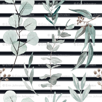 Eucalyptus Edition 3 Black Stripe Back - Gum Trees (400x400), Png Download