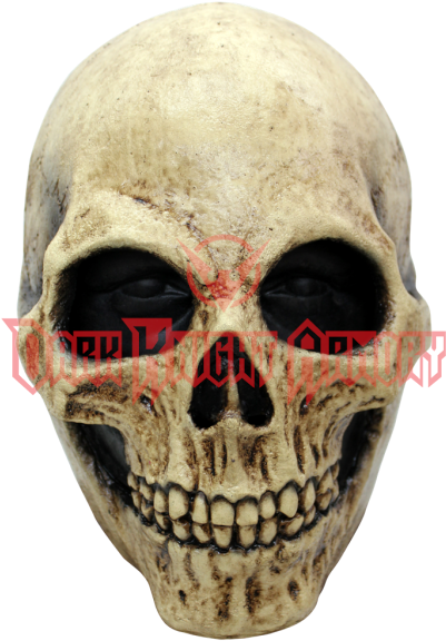 Bone Skull Mask - Abdel K (600x600), Png Download
