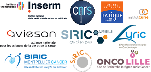 Dingo Meeting Sponsors - Siric Montpellier (730x305), Png Download