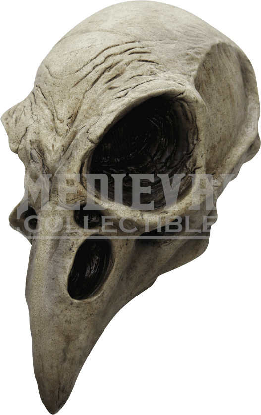 Crow Skull Mask - Crow Skull (850x850), Png Download