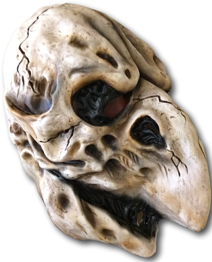 Crow Skull Mask - Crow Skull Mask Adult (1024x1024), Png Download