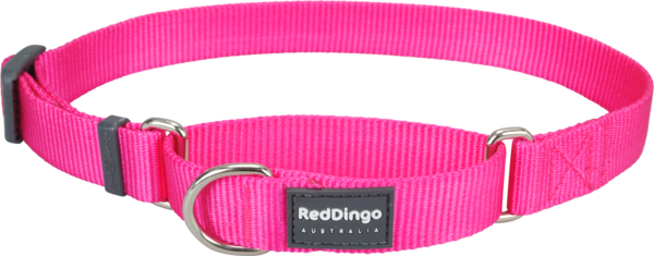 Red Dingo Classic Martingale Dog Collar - Red Dingo Hot Pink Large Martingale Collar (600x235), Png Download