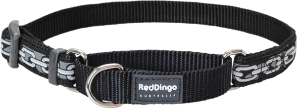 Red Dingo Designer Martingale Dog Collar - Red Dingo Designer Martingale Dog Collar, Small, Chain (600x219), Png Download