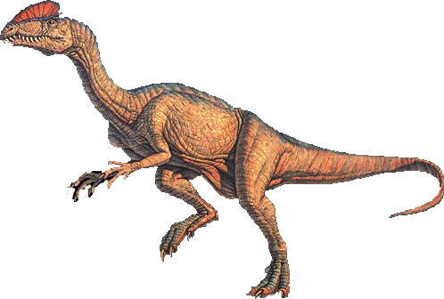 Imagen Del Dinosaurio Dilophosaurus (498x336), Png Download