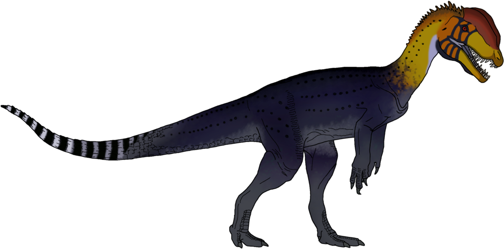 Notice The Lack Of A Frill And Poison - Isle Dilophosaurus Deviantart (1024x572), Png Download