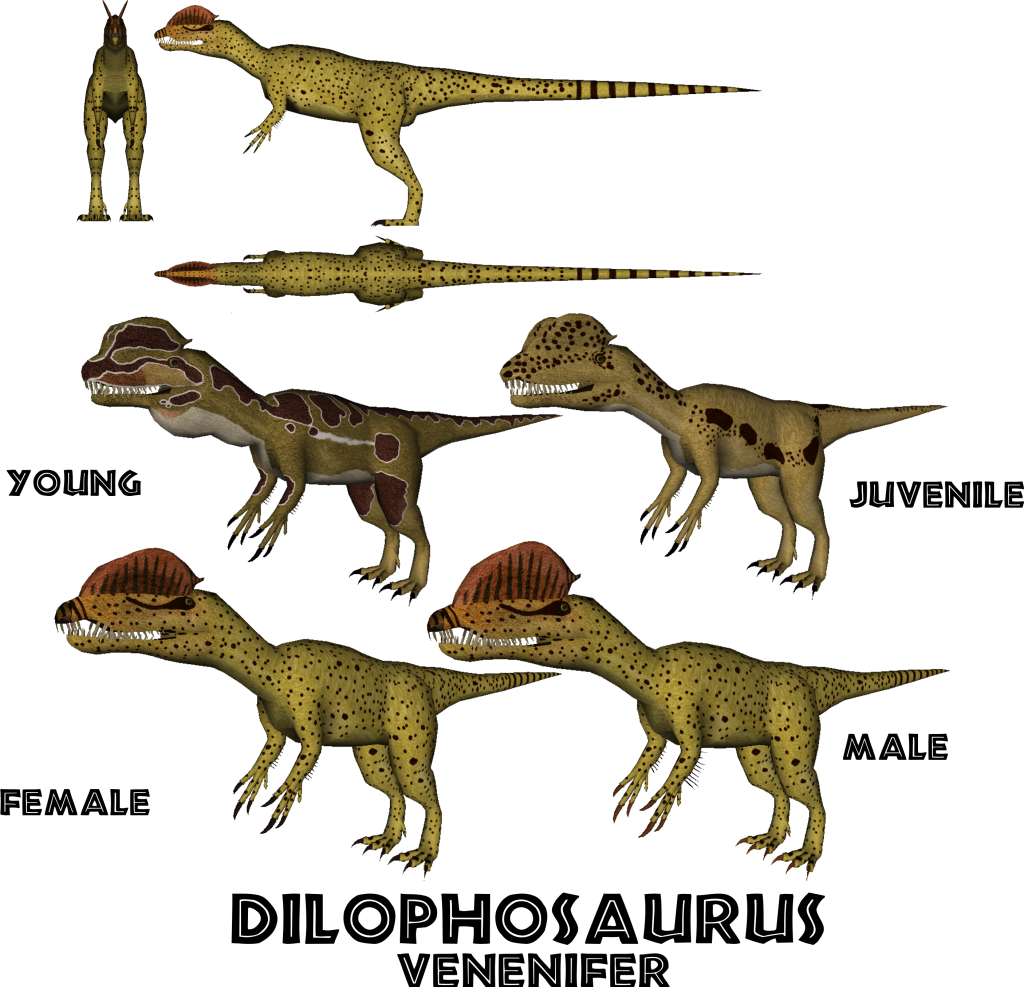 Posted Image - Dilophosaurus Male And Female (1024x987), Png Download