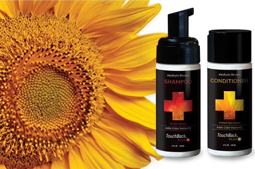 Touchback Plus Abc Good Morning America - Touchback Plus Micro Foam Hair Color Shampoo Rich Black (500x332), Png Download