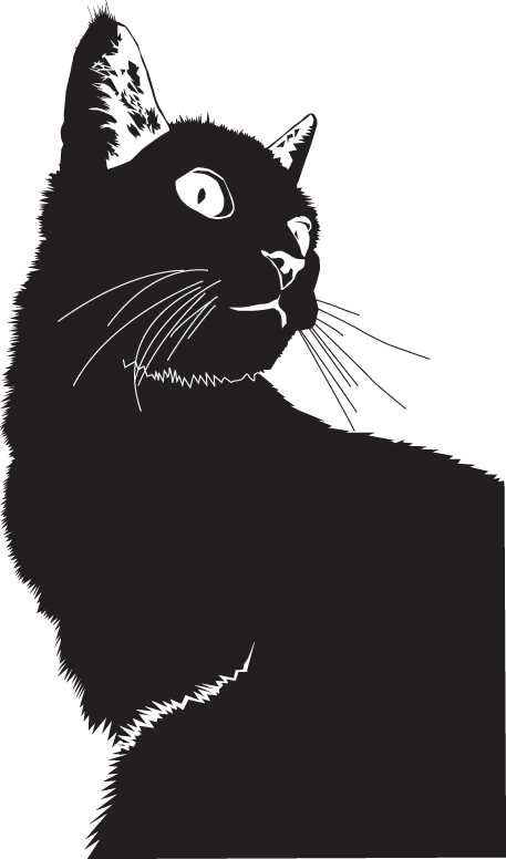 Cat Mischief Managed - And (457x776), Png Download