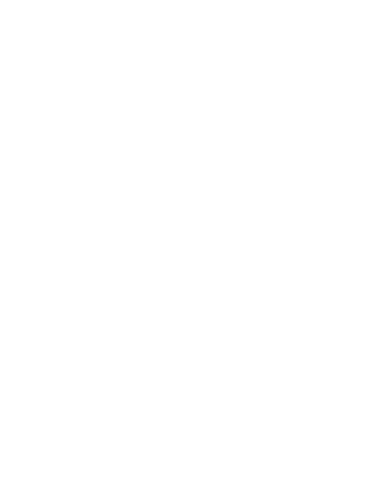 Verify Your Phoenix Gold Bullion Card Now - Requirement Icon Png (400x477), Png Download