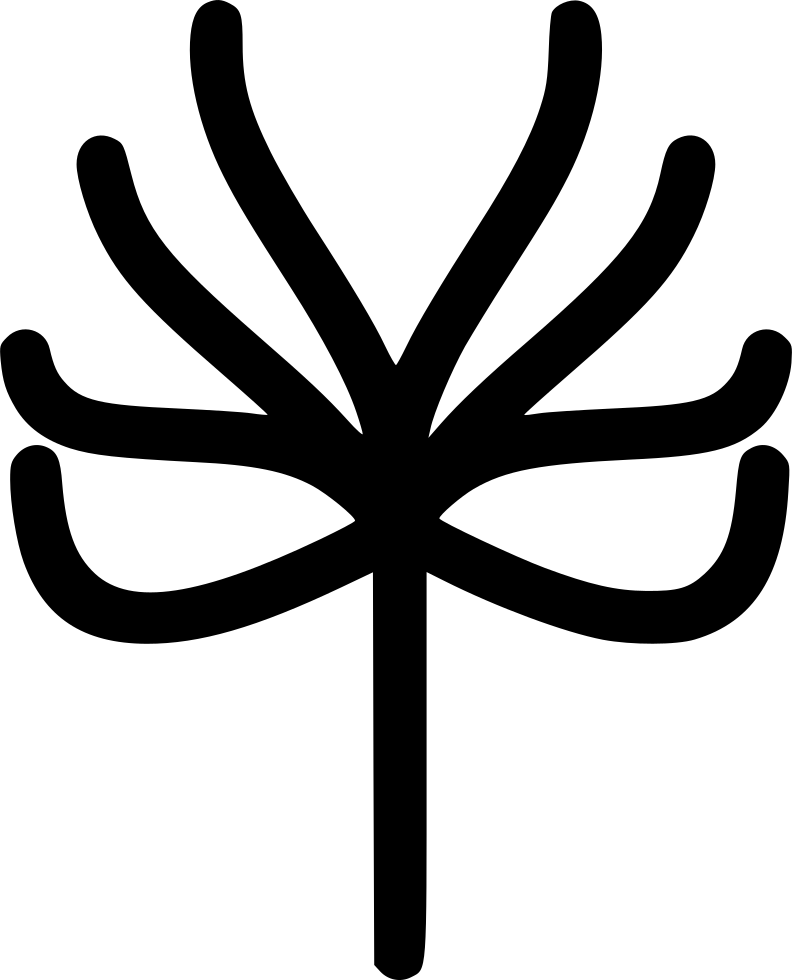Tree With No Leaves (792x980), Png Download