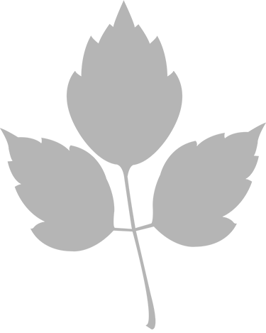 Month No - Month (375x469), Png Download