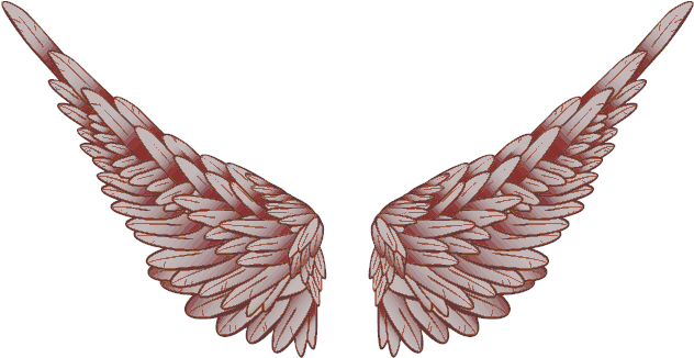 Baby Angel Wings Png Angel Praying T - Logo (646x370), Png Download