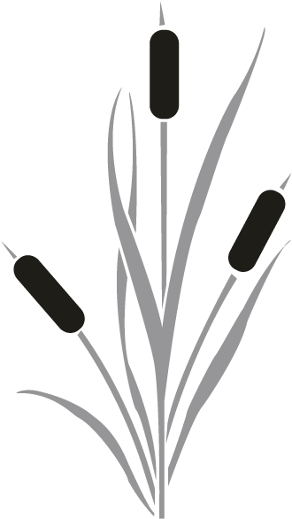 Cattails - Black And White Cattails Clipart (696x696), Png Download