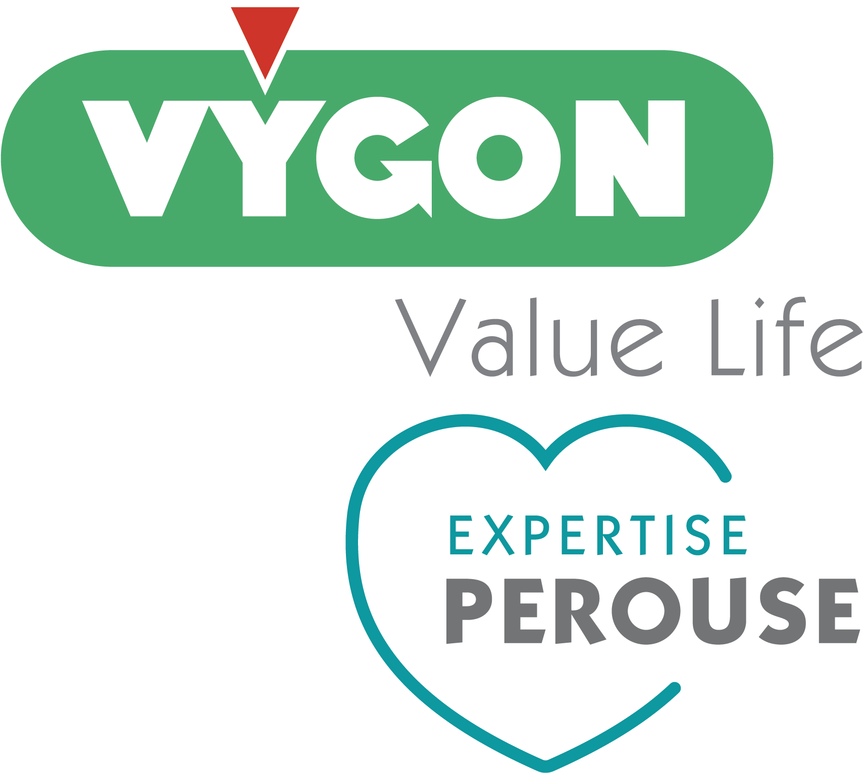 Download Gold Corner Sponsors Vygon Logo Full Size PNG Image PNGkit