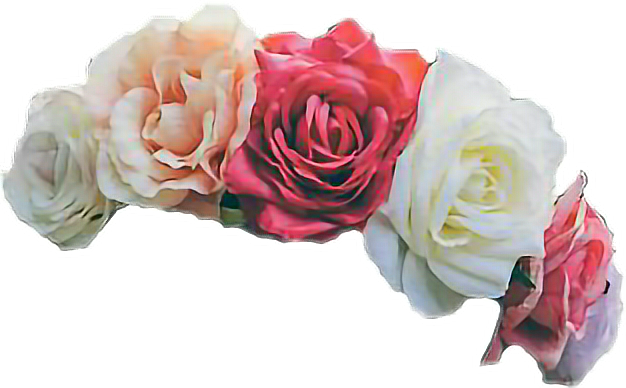 Transpa White Flower Crown - Rose Flower Crown Transparent (626x388), Png Download