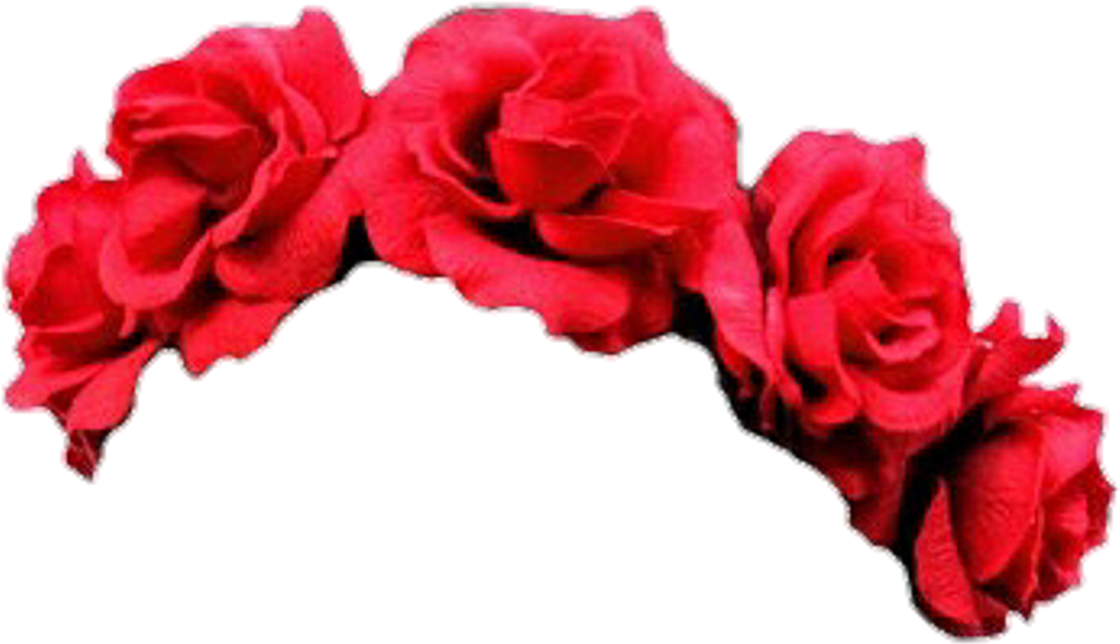 Download Flowers Flower Headband Flowerband Flowercrown Overlay Blue Flower Crown Png Full Size Png Image Pngkit