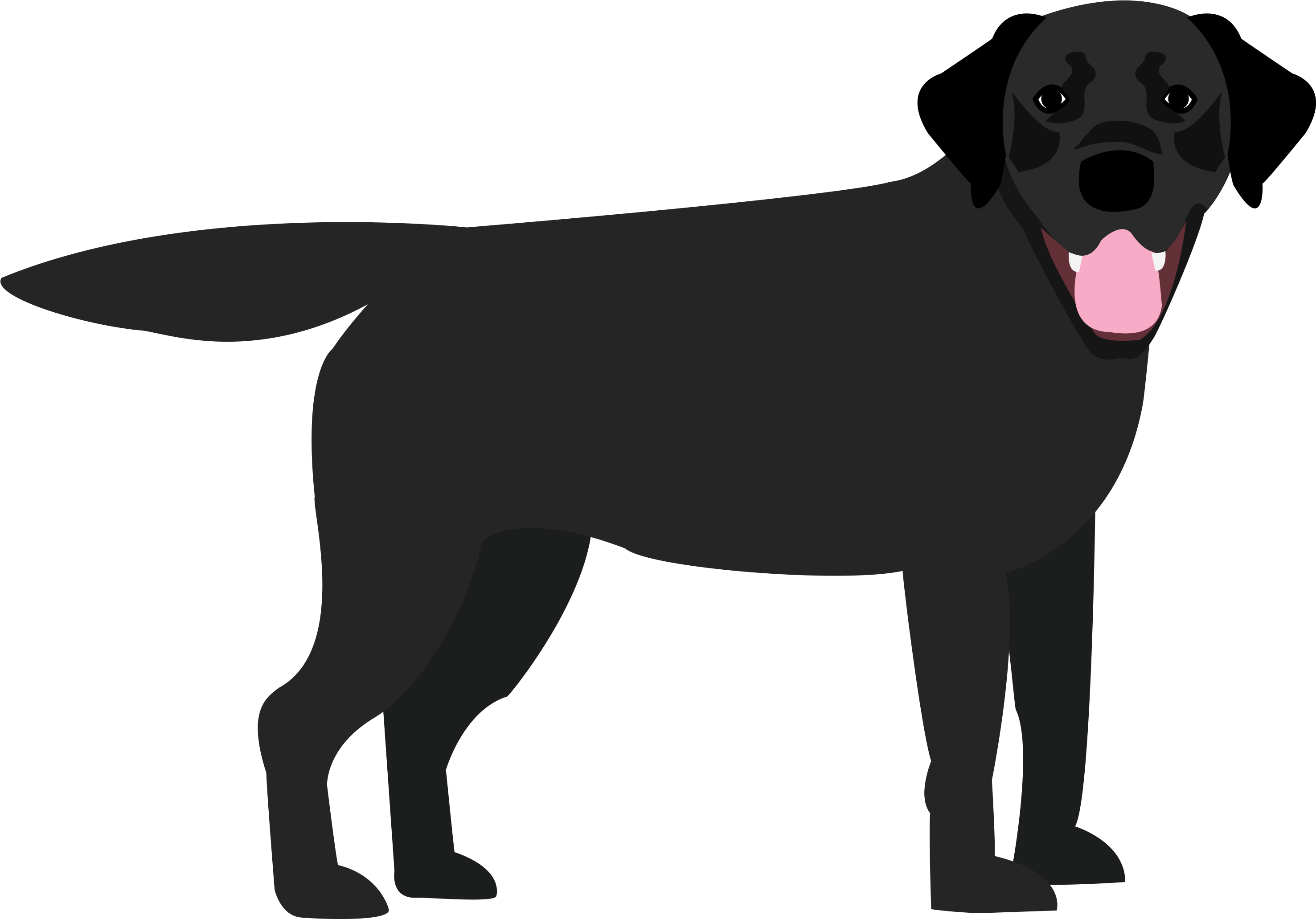 Dog (3000x2400), Png Download