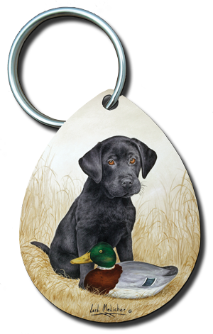 042 Blacklabpuppyw-1887deocy - Labrador Retriever (300x471), Png Download