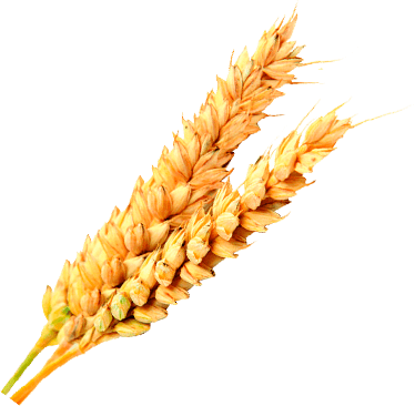 Cucina Italiana - Espigaspng (374x366), Png Download