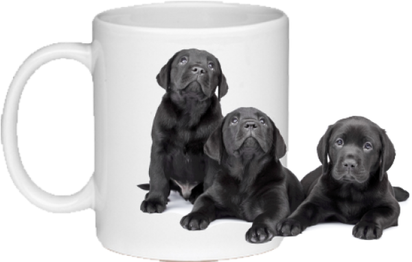 Black Labrador Puppies - Coaster (600x600), Png Download